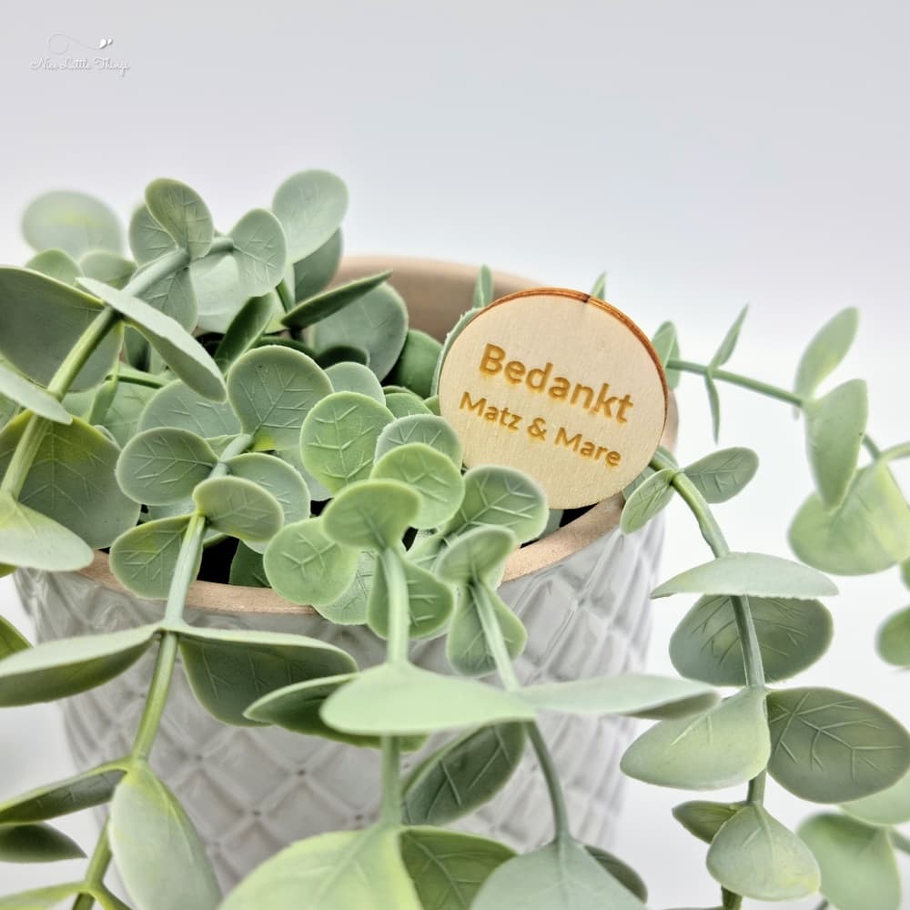 Bâton de plante en bois avec nom