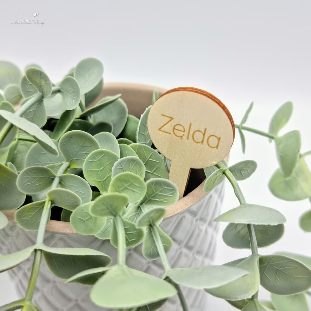 Bâton de plante en bois avec nom