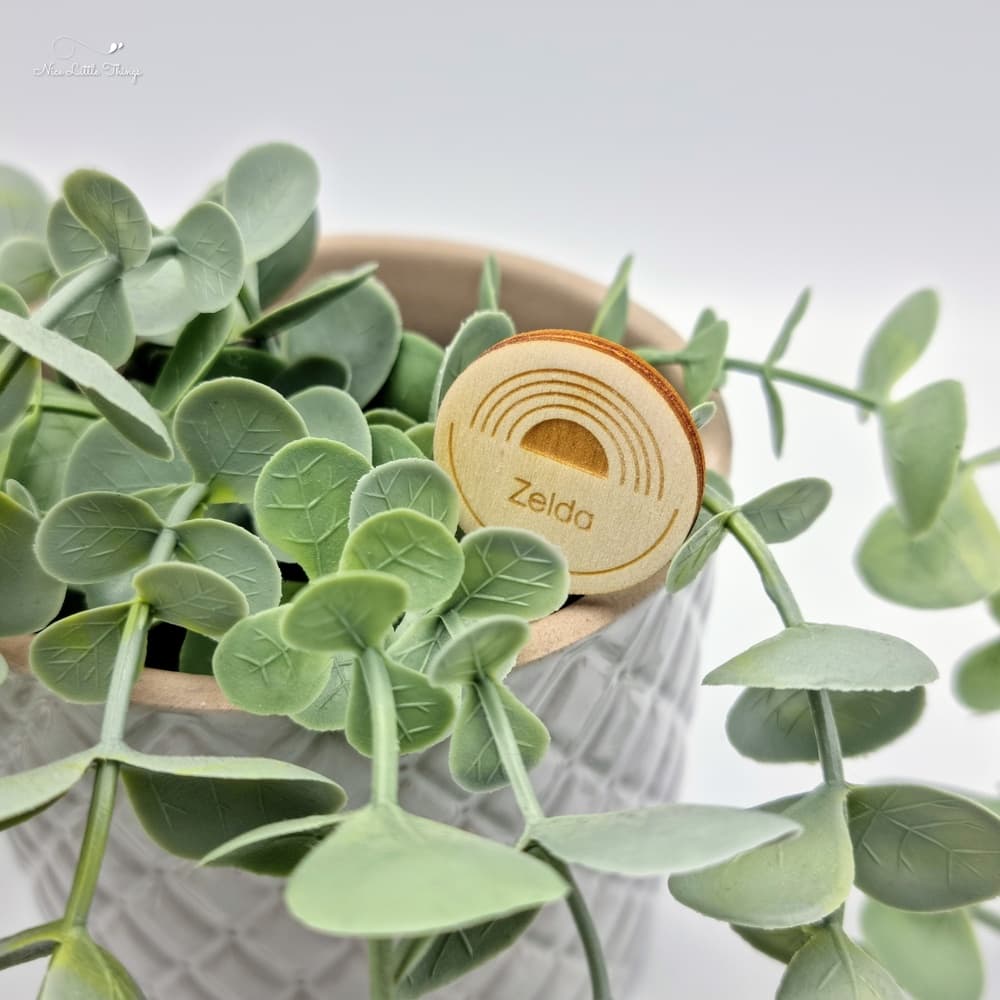 Bâton de plante en bois avec nom