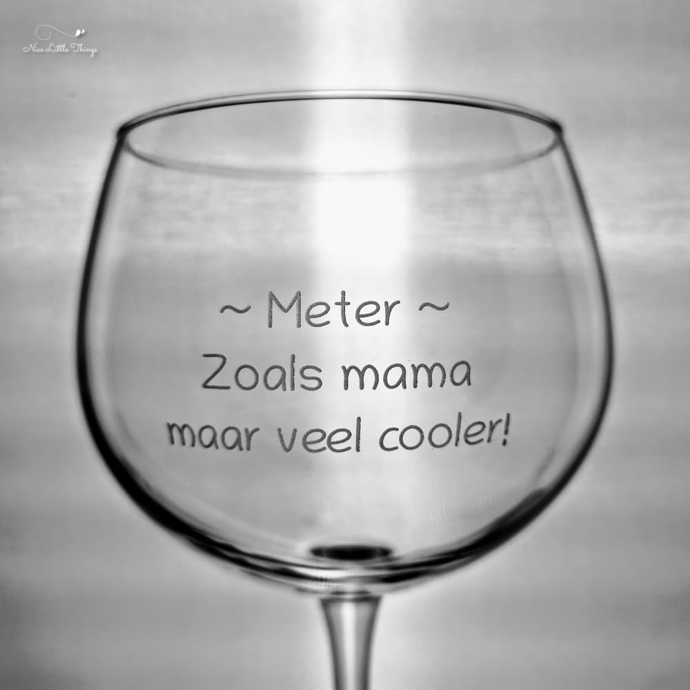 Verre à gin tonique